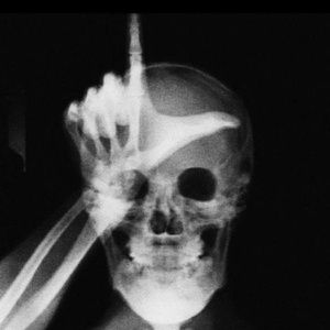 Meet your Posher, Joel